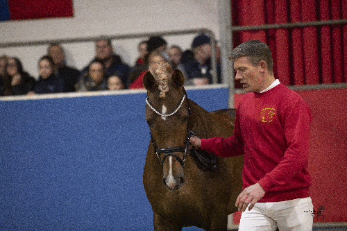Damaskus-